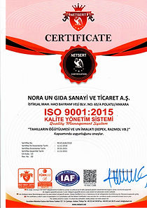 İSO-9001.jpg