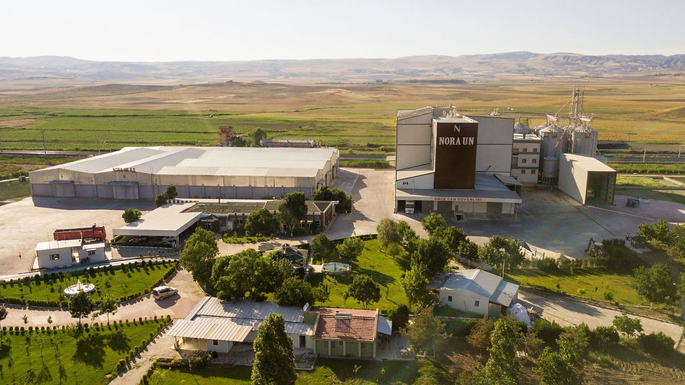 nora un fabrikası, nora flour mill